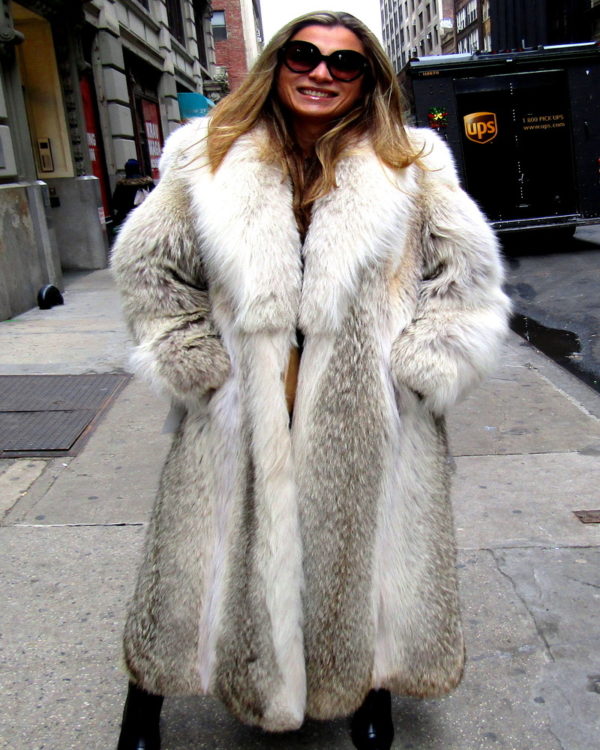 New Natural Coyote Coat Size 10 12 Madison Avenue Furs And Henry Cowit Inc